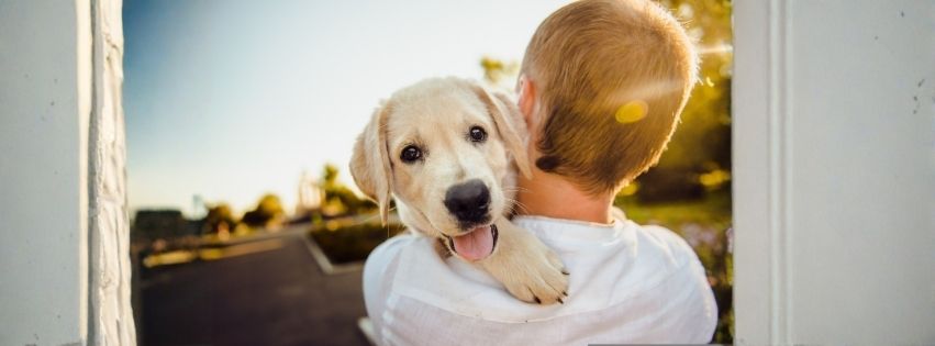 Aus Liebe zum Hund- lerne wie du bei Notfällen helfen kannst.