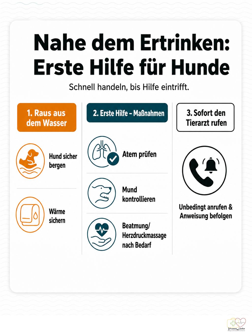 Beinahe-Ertrinken beim Hund - so handelst du richtig.