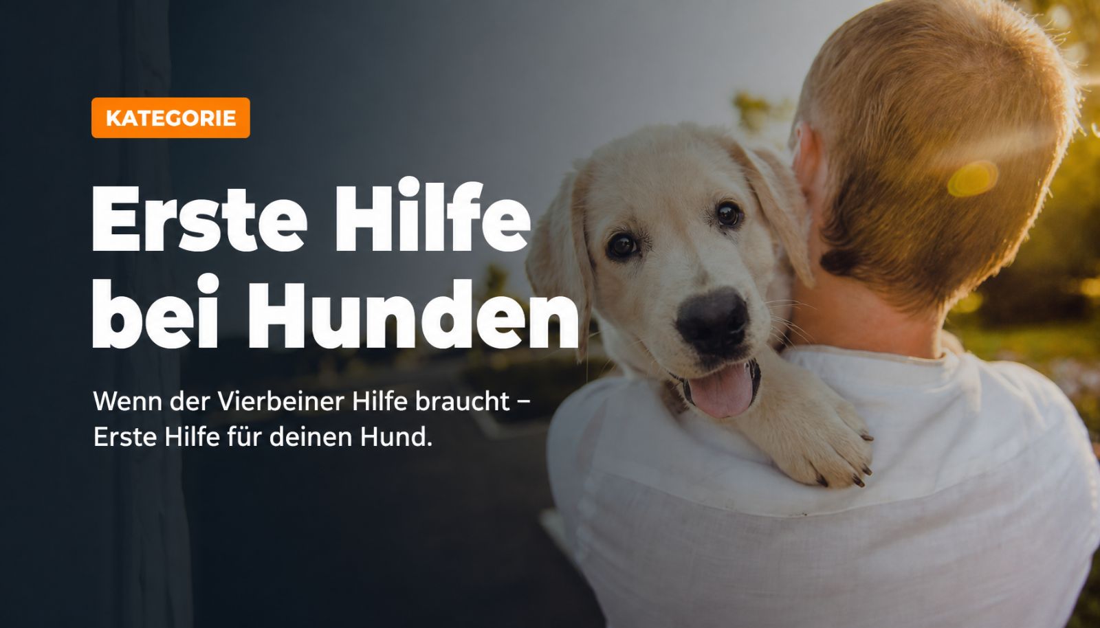 Sie gehören fest in die Familie- unsere Hunde. Dieser Blogbereich ist der Ersten Hilfe am Hund und der Prävention von Notfällen gewidmet.